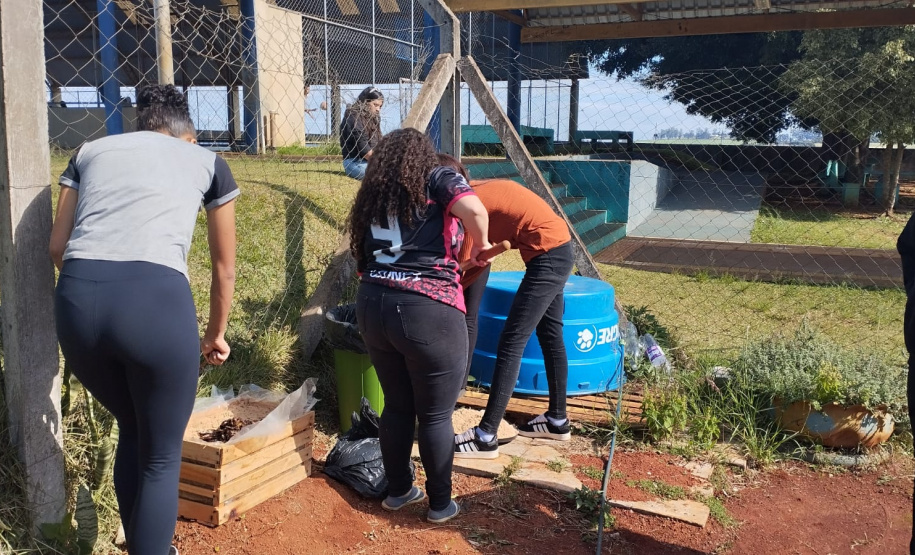 Educação ambiental: estudantes de colégio estadual em Arapoti transformam lixo orgânico em adubo para horta