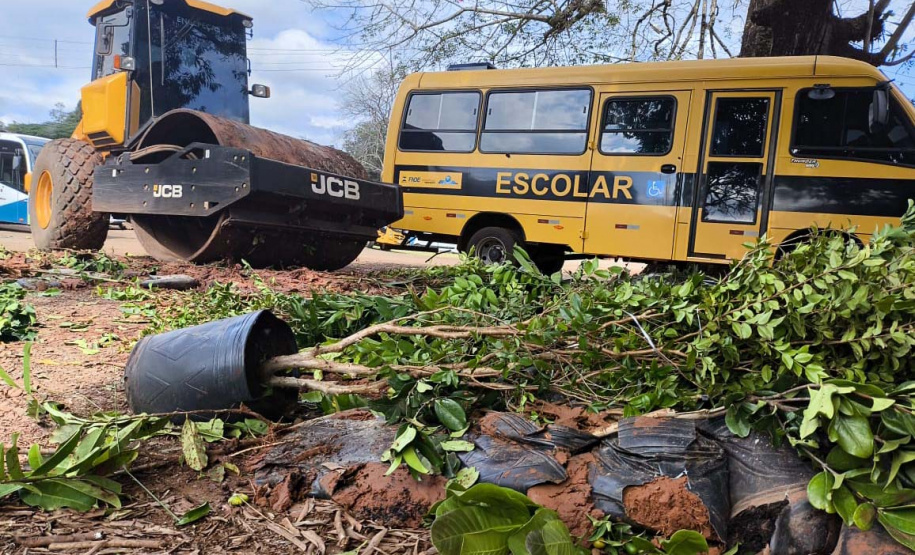 operação contra o greening  em Cornélio Procópio e Londrina.