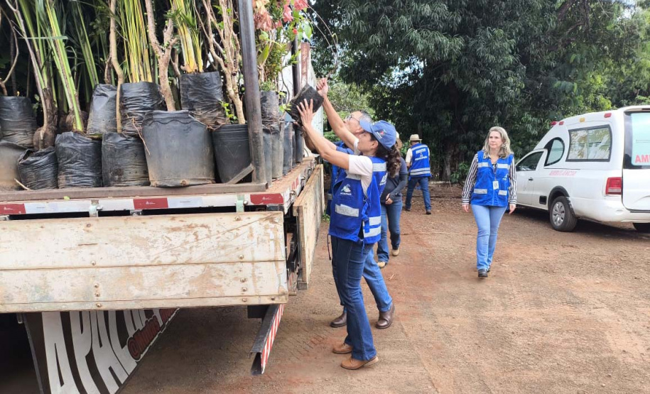 operação contra o greening  em Cornélio Procópio e Londrina.