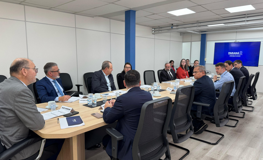 SEI - Conselho Estadual de IA