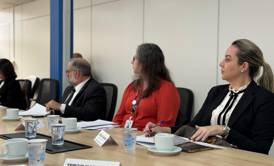 SEI - Conselho Estadual de IA