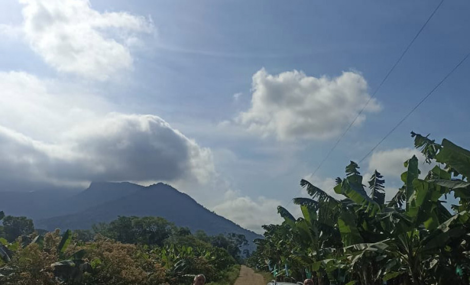 ADAPAR - matéria bananicultura com uso de drones no Litoral