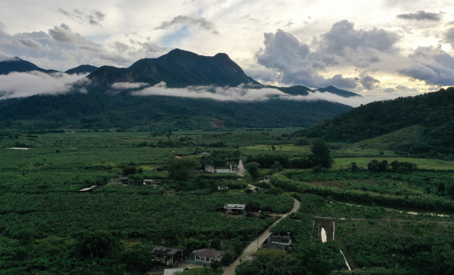 ADAPAR - matéria bananicultura com uso de drones no Litoral