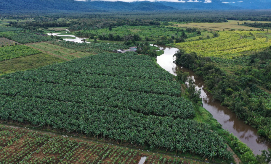 ADAPAR - matéria bananicultura com uso de drones no Litoral