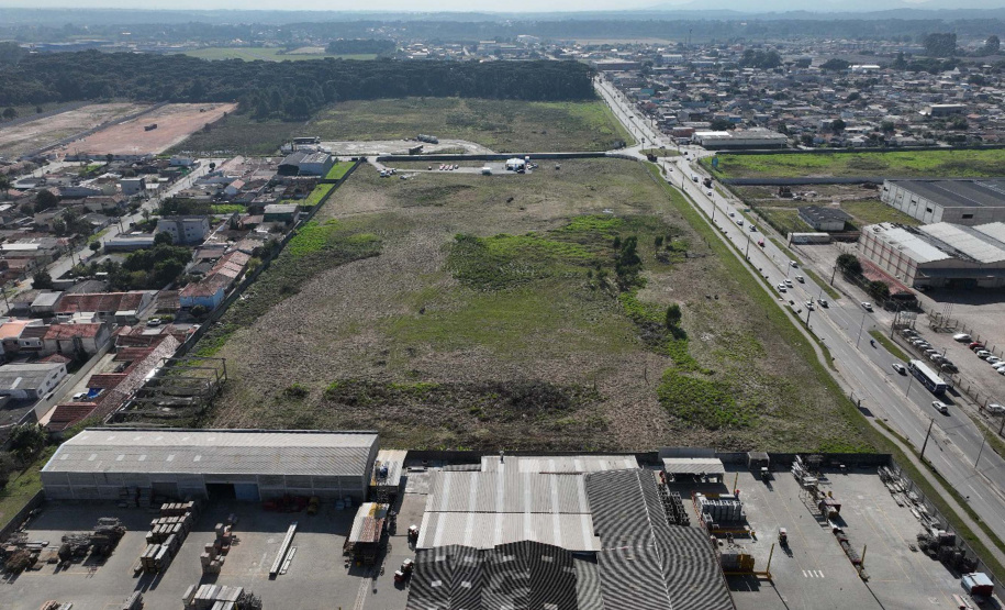 DARCI PIANA - SYSMEX