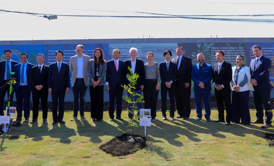 DARCI PIANA - SYSMEX