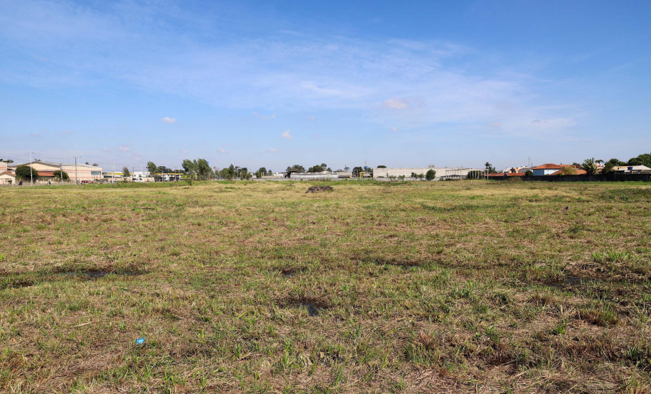 DARCI PIANA - SYSMEX