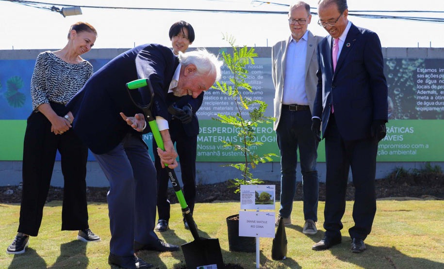 DARCI PIANA - SYSMEX