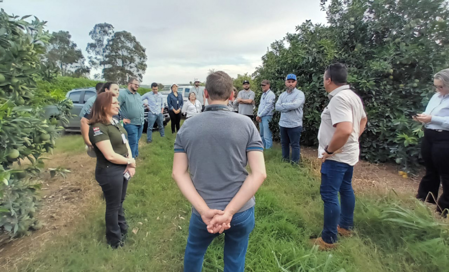 Fiscais catarinenses e gaúchos conhecem experiência do Paraná no combate ao greening