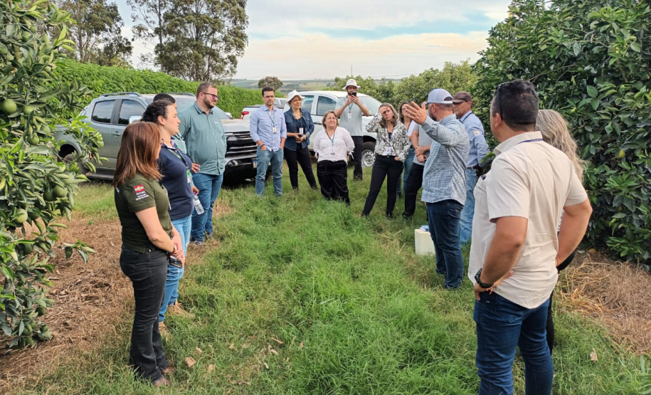 Fiscais catarinenses e gaúchos conhecem experiência do Paraná no combate ao greening