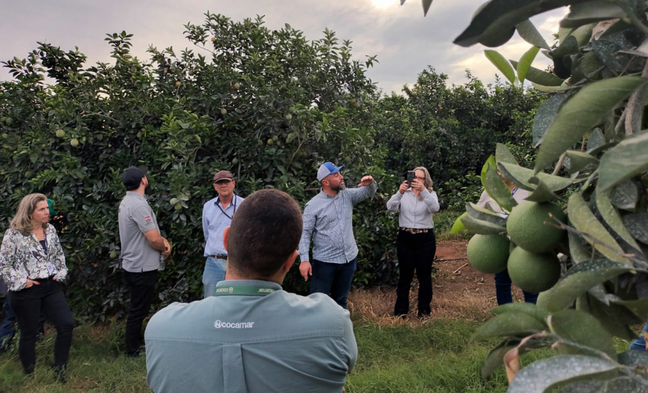 Fiscais catarinenses e gaúchos conhecem experiência do Paraná no combate ao greening