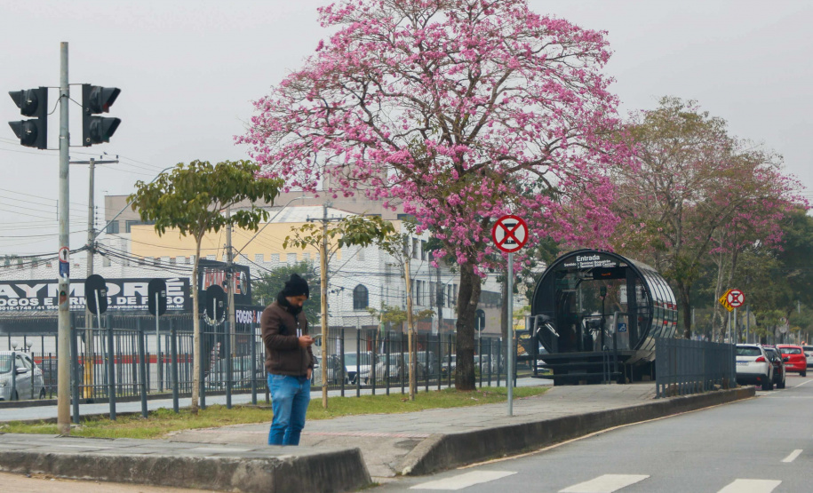 Paraná registra primeira temperatura negativa de 2025 nesta sexta-feira
