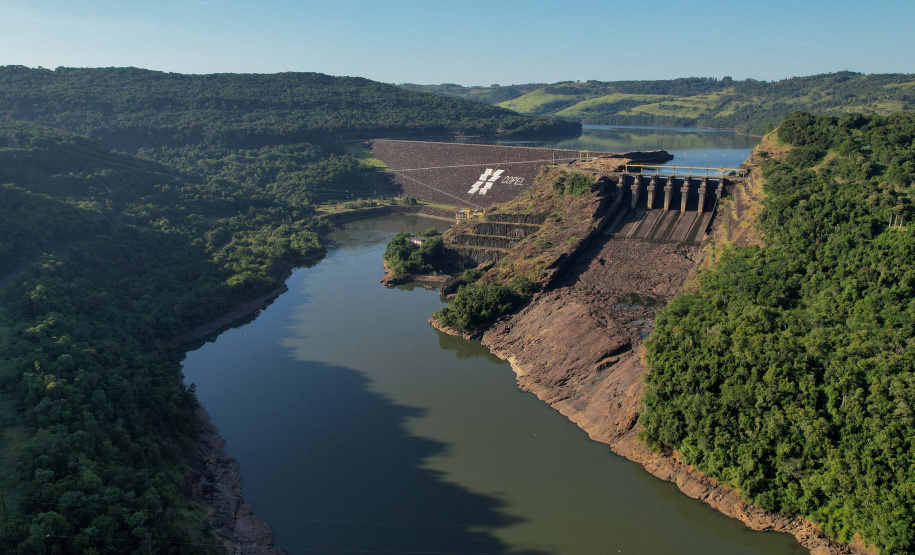 COPEL - Florestas protegidas pela Copel abrigam espécies vulneráveis da flora nativa