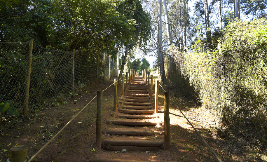 Em quase seis anos, o Paraná ganhou 42 parques urbanos e mais de 1,4 milhão de metros quadrados de área regenerada