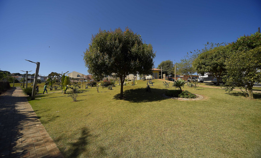 IAT ÁRVORES URBANAS