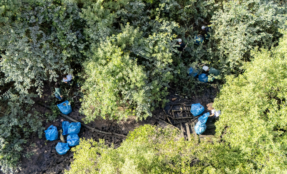 PORTOS - Mutirão remove mais de meia tonelada de resíduos dos manguezais em Paranaguá