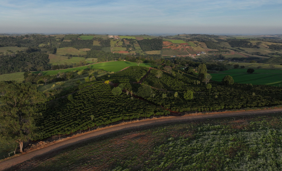 JANDAIA DO SUL - UFPR