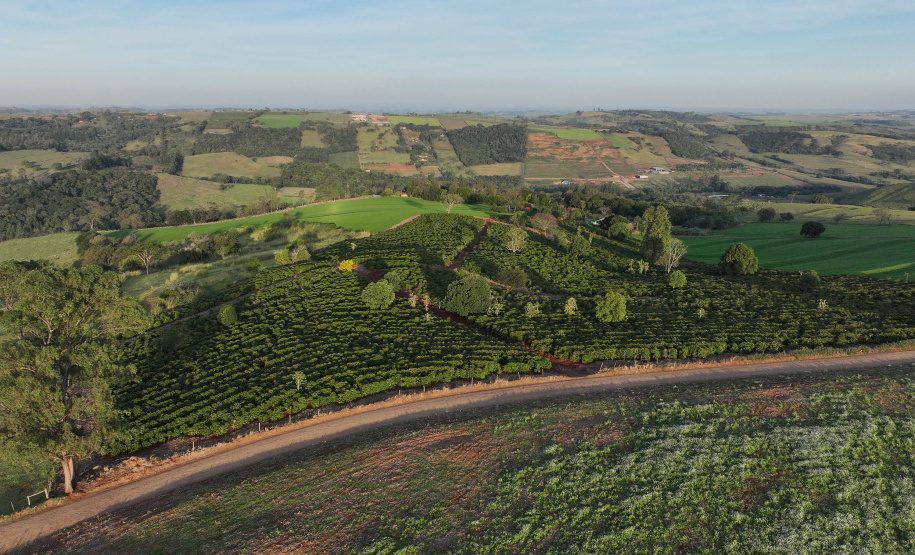 JANDAIA DO SUL - UFPR
