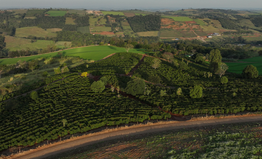 JANDAIA DO SUL - UFPR