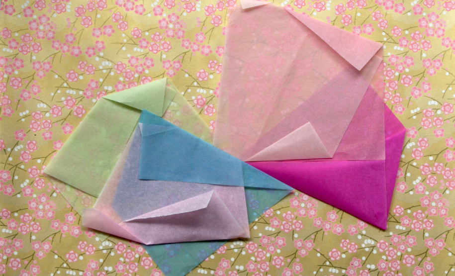 MAC Paraná - Programação educativo