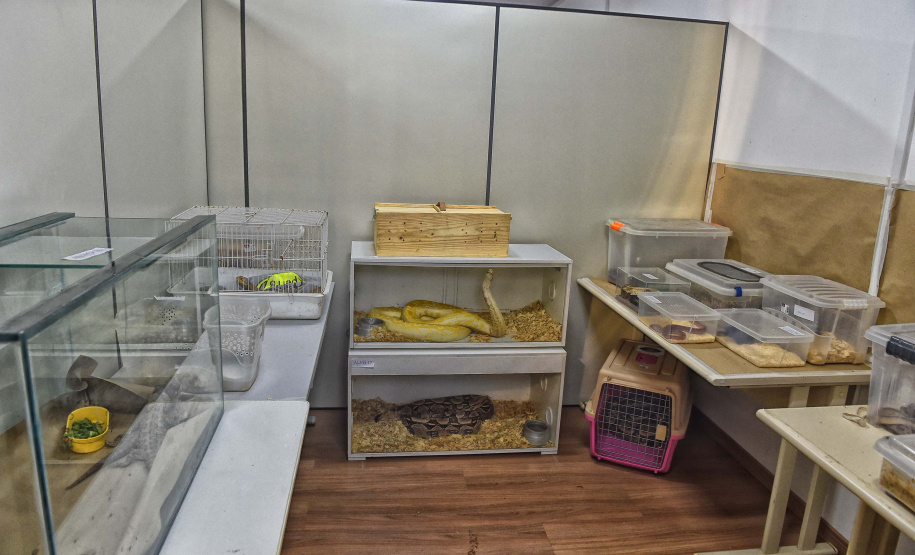 IAT ANIMAIS FAUNA SILVESTRE RESGATADOS