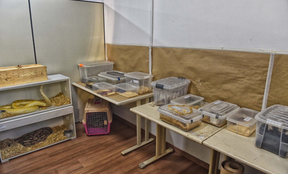 IAT ANIMAIS FAUNA SILVESTRE RESGATADOS