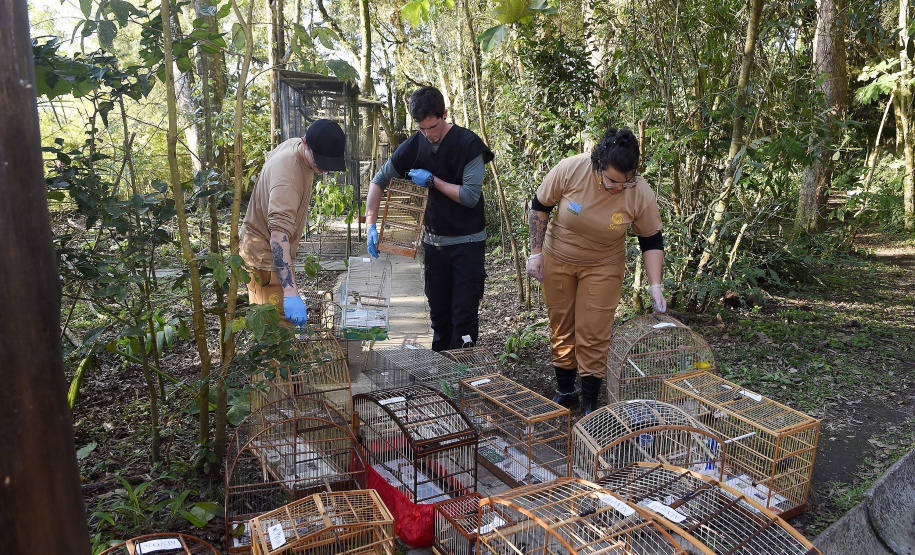IAT ANIMAIS FAUNA SILVESTRE RESGATADOS