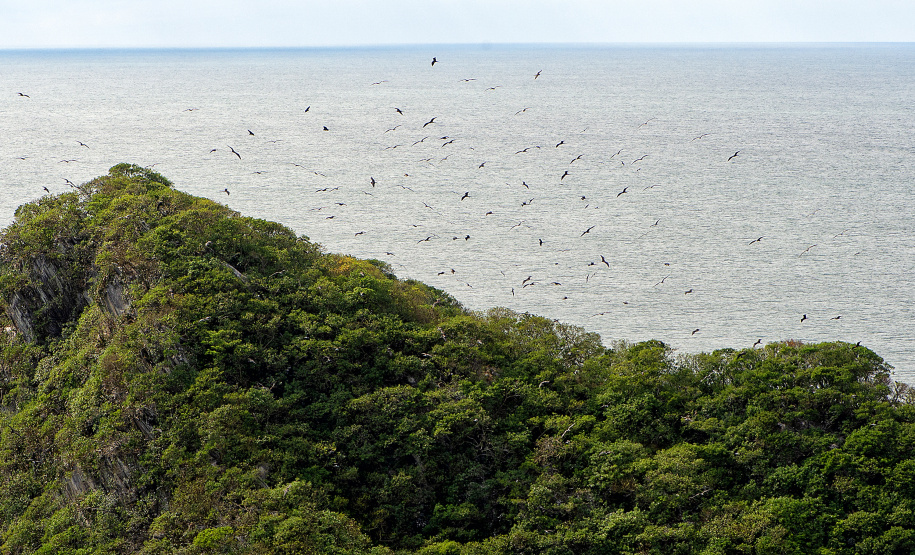 Recuperação de áreas verdes, combate ao desmatamento, cuidados com a água e a fauna e destinação correta dos resíduos sólidos: os indicadores que transformaram o Paraná em referência na proteção ao meio ambiente.