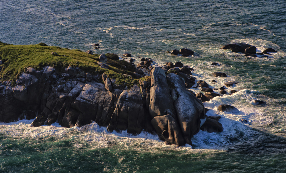 Recuperação de áreas verdes, combate ao desmatamento, cuidados com a água e a fauna e destinação correta dos resíduos sólidos: os indicadores que transformaram o Paraná em referência na proteção ao meio ambiente.