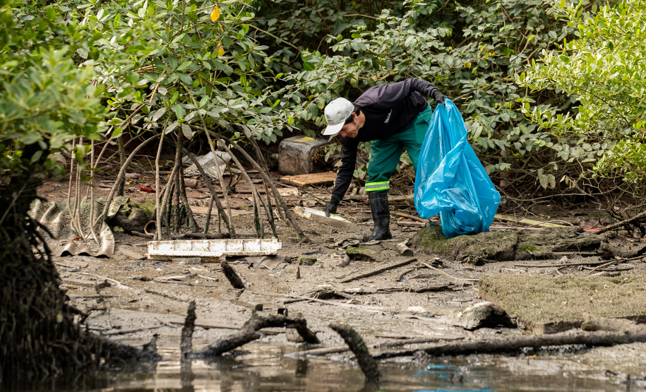 PORTOS - Mutirão remove mais de meia tonelada de resíduos dos manguezais em Paranaguá