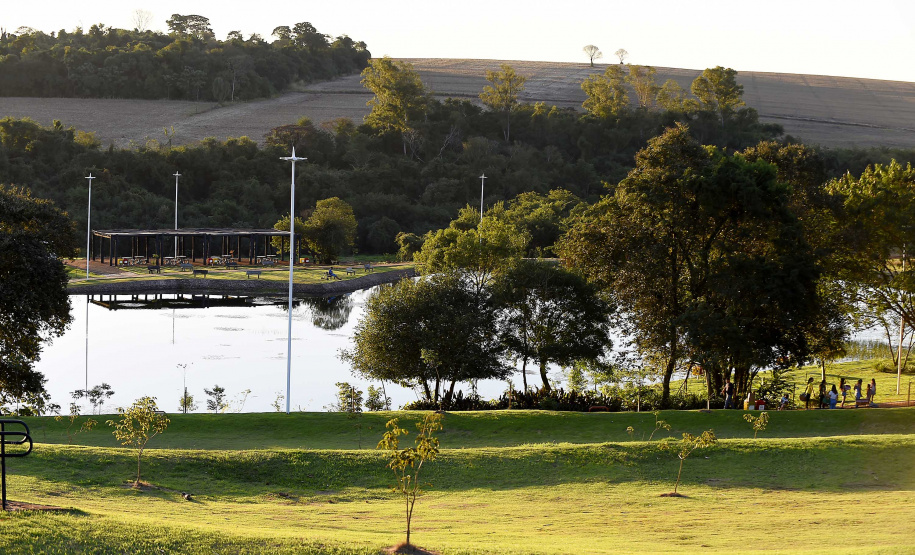 IAT ÁRVORES URBANAS