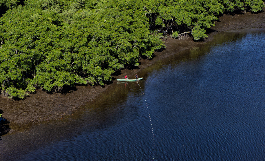 Recuperação de áreas verdes, combate ao desmatamento, cuidados com a água e a fauna e destinação correta dos resíduos sólidos: os indicadores que transformaram o Paraná em referência na proteção ao meio ambiente.