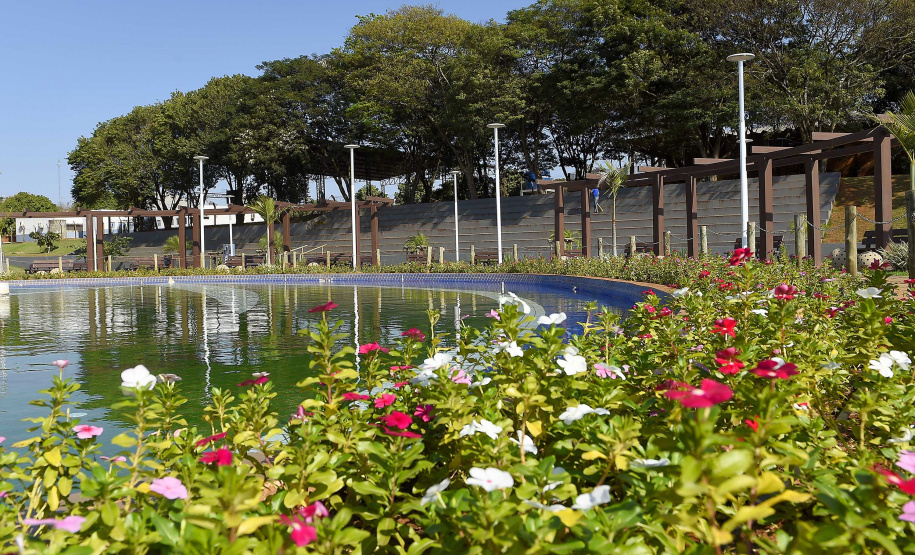 IAT ÁRVORES URBANAS