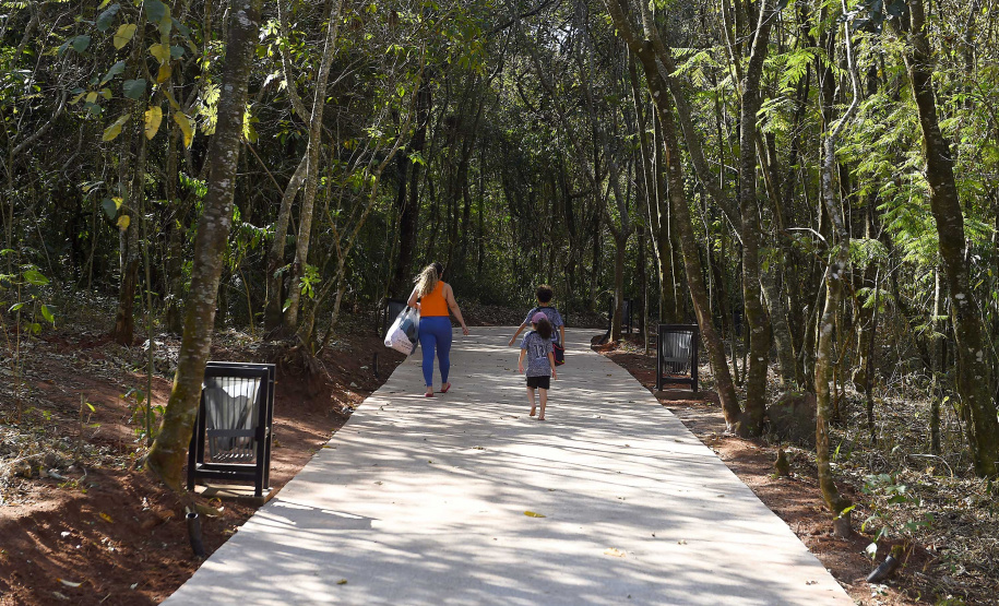 IAT ÁRVORES URBANAS