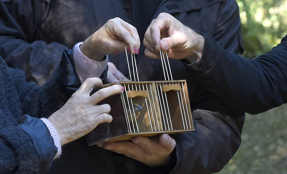 Pássaros resgatados do tráfico de animais começaram a voltar para a natureza nesta quarta-feira (25)
