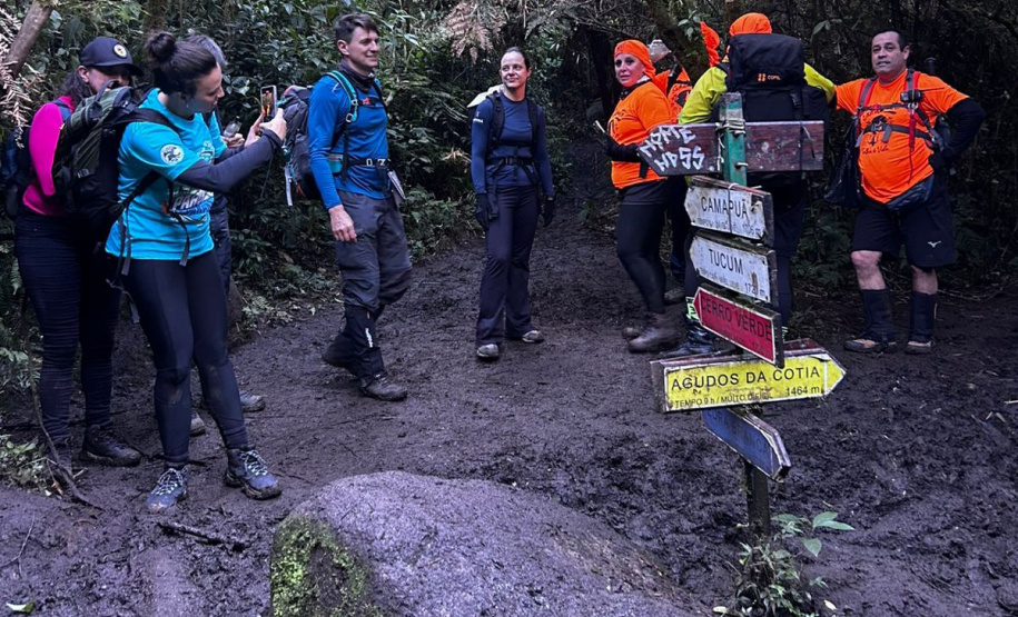 IAT Mutirão Pico Paraná