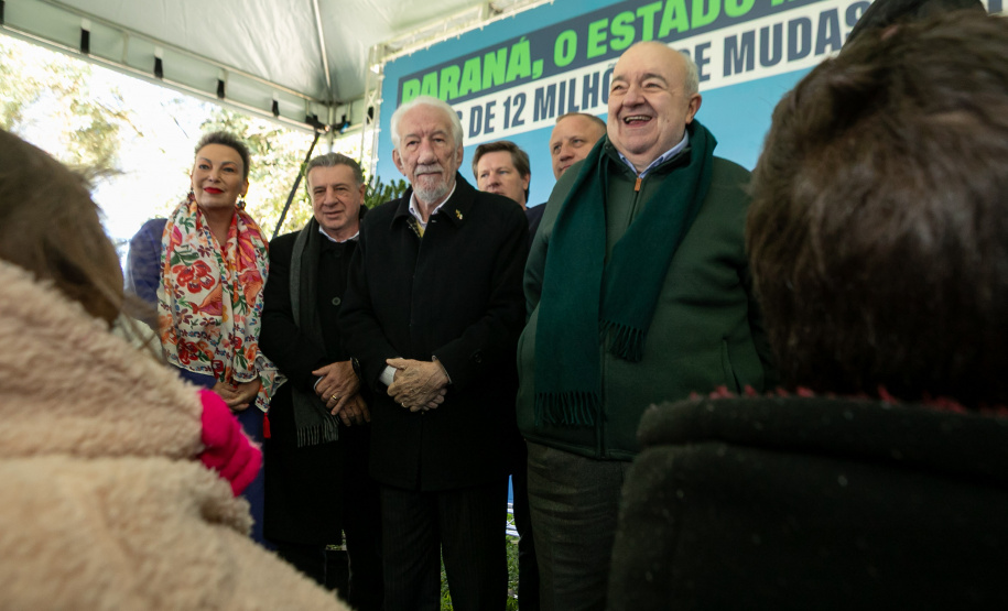 PLANTIO DE ARAUCARIA VICE