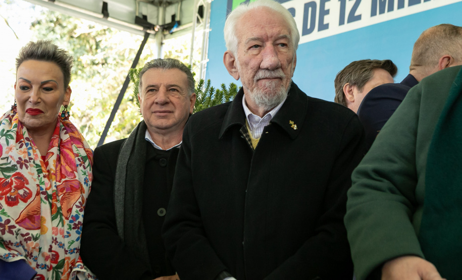 PLANTIO DE ARAUCARIA VICE