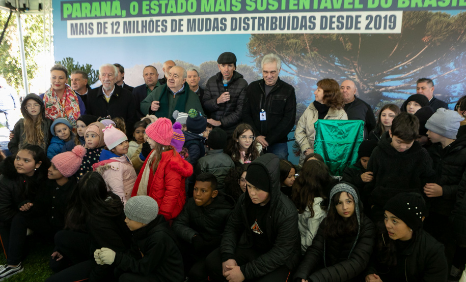 PLANTIO DE ARAUCARIA VICE