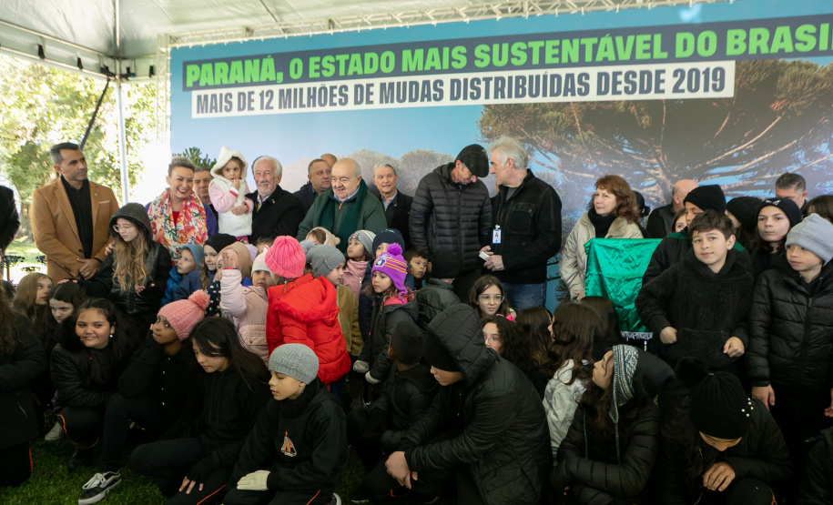 PLANTIO DE ARAUCARIA VICE