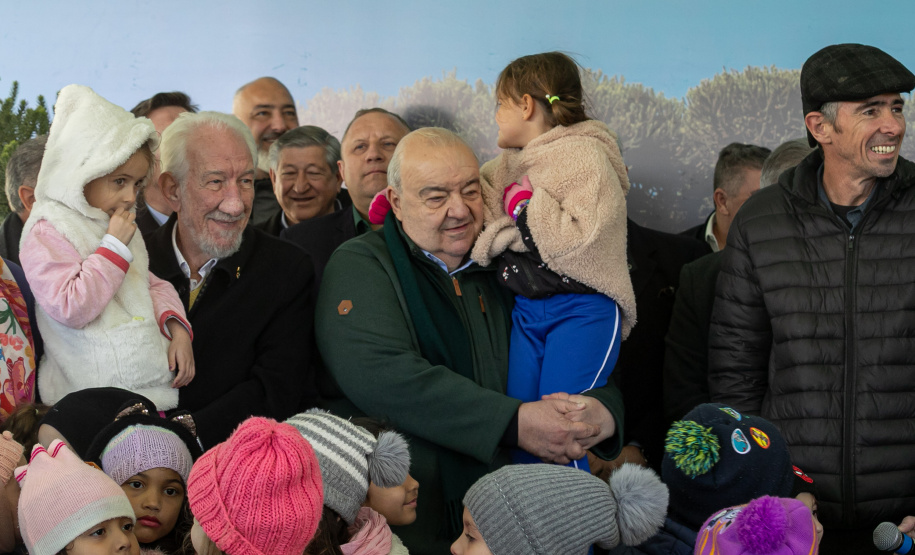 PLANTIO DE ARAUCARIA VICE