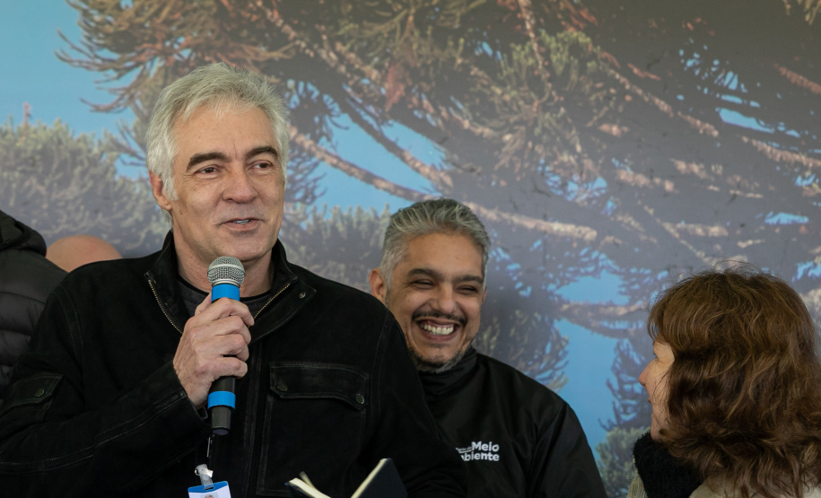 PLANTIO DE ARAUCARIA VICE