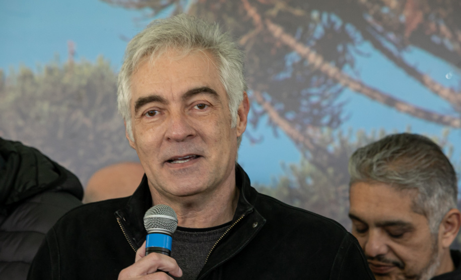 PLANTIO DE ARAUCARIA VICE