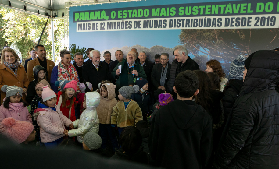 PLANTIO DE ARAUCARIA VICE