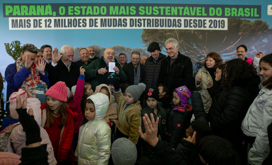 PLANTIO DE ARAUCARIA VICE