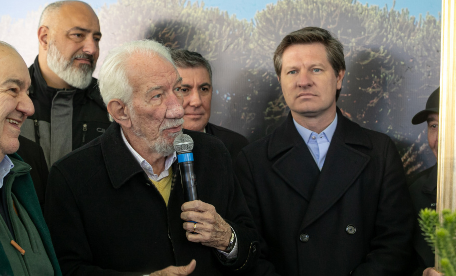 PLANTIO DE ARAUCARIA VICE