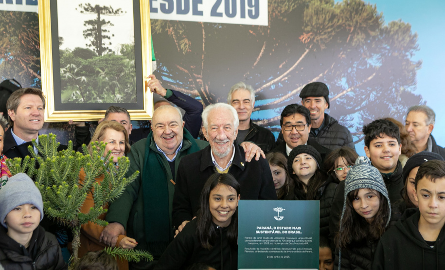 PLANTIO DE ARAUCARIA VICE