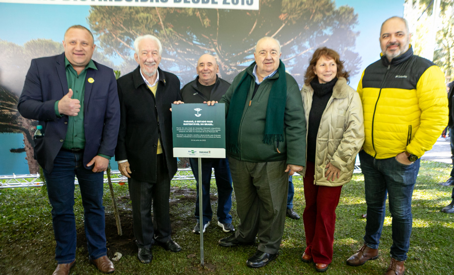 PLANTIO DE ARAUCARIA VICE