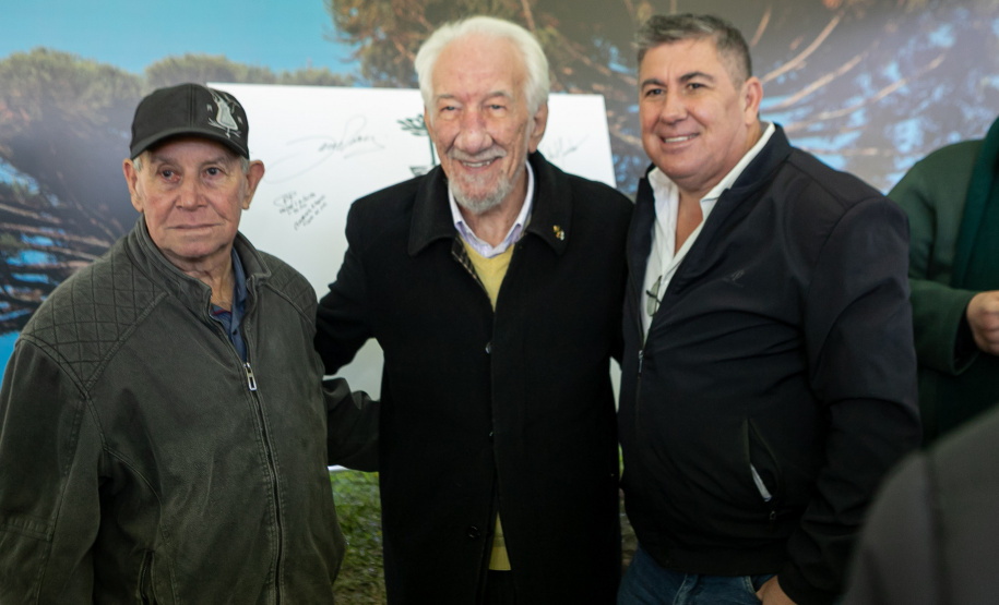 PLANTIO DE ARAUCARIA VICE