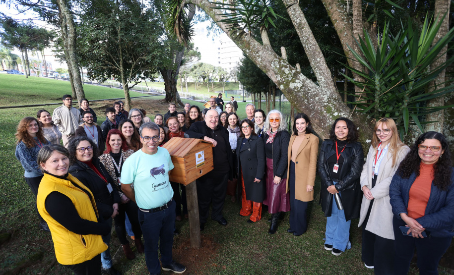 Poliniza Paraná: sede do Ministério Público do Paraná, em Curitiba, ganhou quatro meliponários nesta sexta-feira (13)